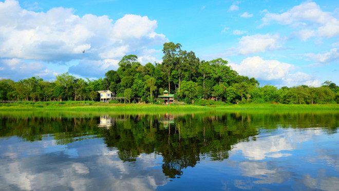Những