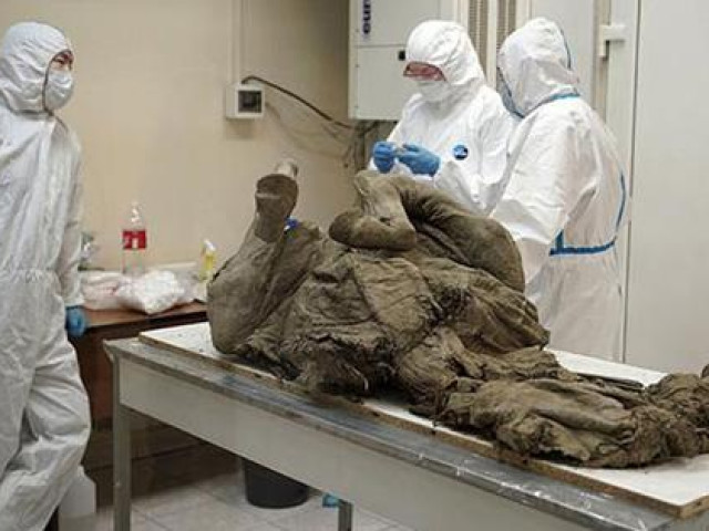 Thế giới - Tử thần thức giấc