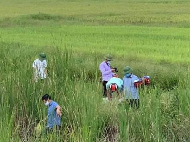 Pháp luật - Cà Mau: Liên tiếp xảy ra 2 vụ giết người gây rúng động