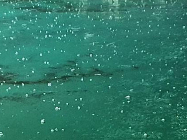 Tin tức trong ngày - Cơ quan khí tượng lý giải trận mưa đá "cực kỳ hiếm gặp" ở TPHCM