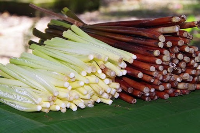 Giá bán của năn bộp khoảng 8.000 đồng - 10.000 đồng/kg, dù giá bán không phải quá cao, song đã có những hộ trồng cho thu nhập hàng chục triệu đồng.
