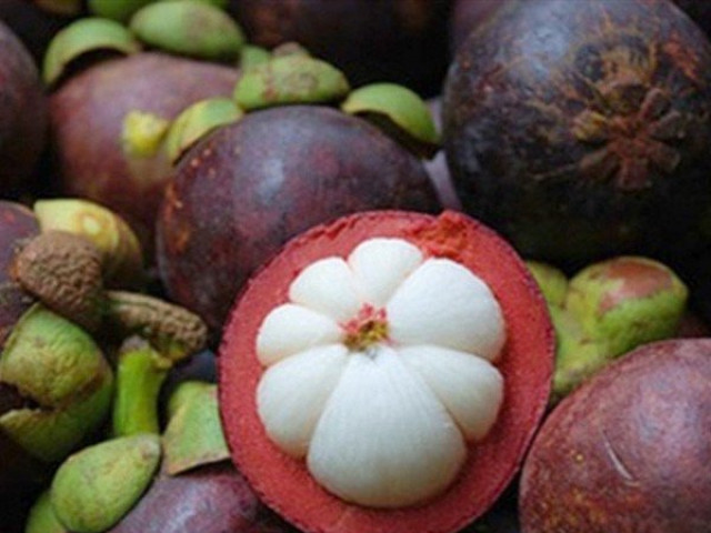 Thị trường - Tiêu dùng - Muốn chọn măng cụt ngon, không bị sượng cần nhớ kỹ 5 mẹo này