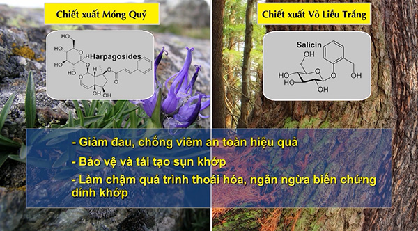 Đau khớp háng bên phải, trái và cách xử lý hiệu quả tư vấn bởi chuyên gia - 4