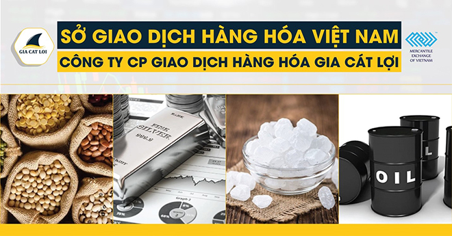 Công ty CP Giao dịch hàng hoá Gia Cát Lợi - chuyên tư vấn đầu tư hàng hoá đáng tin cậy - 2