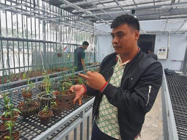 Pháp luật - "Đại gia" lan đột biến khét tiếng bị bắt