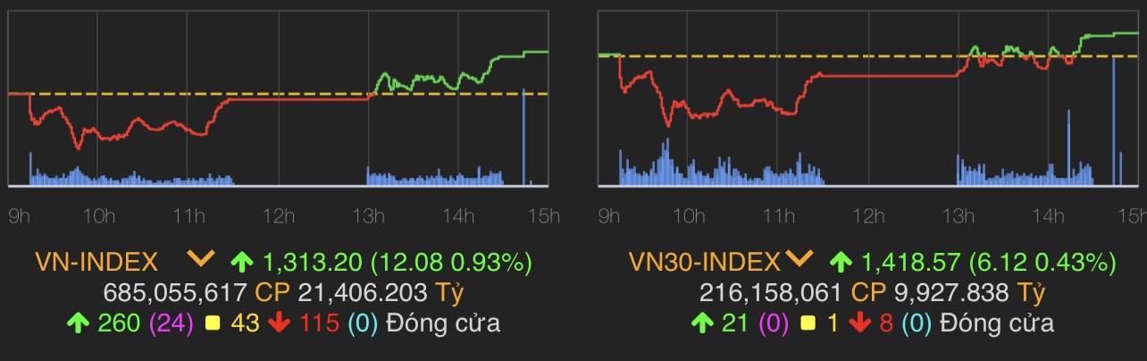 VN-Index tăng 12,08 điểm (0,93%) lên 1.313,2 điểm.