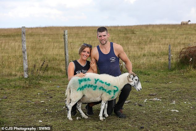 Michael Osborne đã cầu hôn bạn gái Bryony bằng cách phun sơn lên người một con cừu