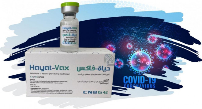 Xem xét cấp phép 2 vắc-xin Covid-19 Nano Covax và Hayat-Vax - 2