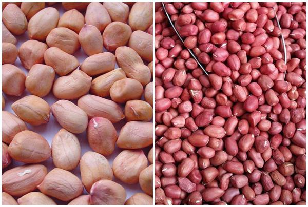 Phụ nữ mang thai được khuyến cáo hạn chế ăn lạc. Ảnh minh họa