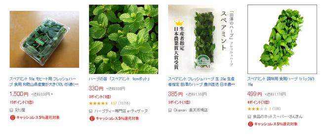 Rau bạc hà bán 350.000 đồng mỗi hộp tùy trọng lượng, dân choáng váng nghe giá mà vẫn phải cắn răng mua - 3