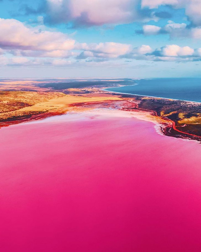 16. Hồ nước màu hồng Hutt Lagoon, Australia cực kỳ nổi tiếng.

