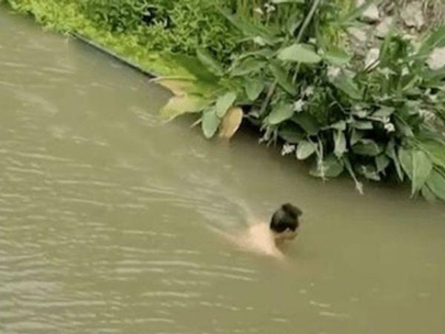 Phi thường - kỳ quặc - Người đàn ông “cố thủ” vài giờ dưới sông, ai nấy tưởng gặp chuyện, cuối cùng phát hiện lý do gây choáng