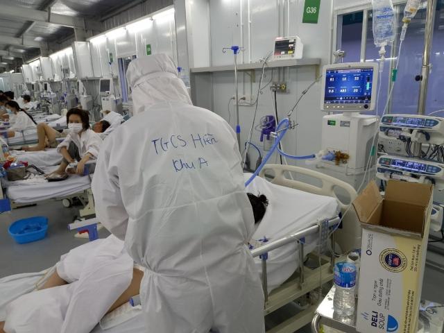 Sức khỏe đời sống - Thông tin “giun đất có tác dụng hỗ trợ điều trị COVID-19”: Bộ Y tế nói gì?