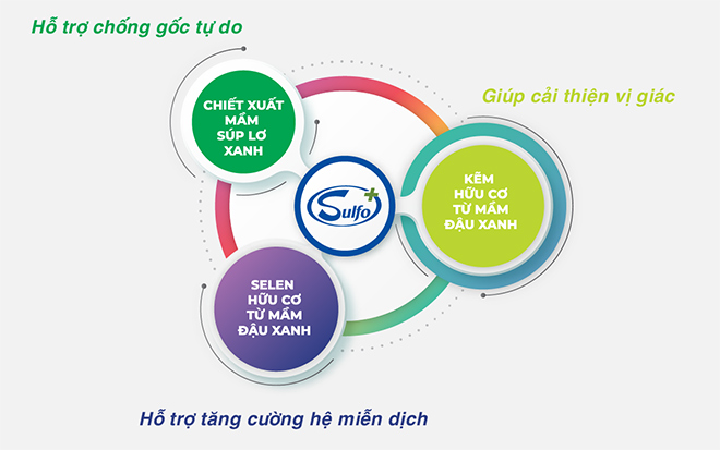 Nhóm sulfo+ từ thực vật bổ sung kẽm và selen