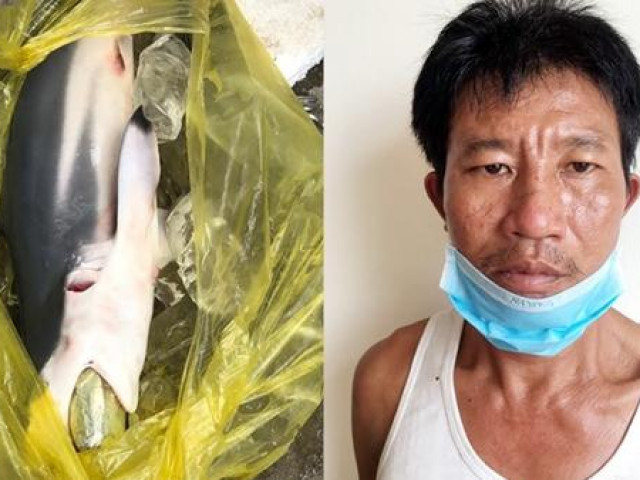 Pháp luật - Con nghiện "nhồi" ma túy vào bụng cá