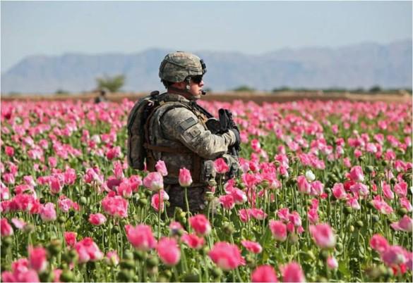 Heroin sản xuất từ thuốc phiện trồng
ở Afghanistan chiếm 95% thị trường ở châu Âu.&nbsp;Ảnh: AP