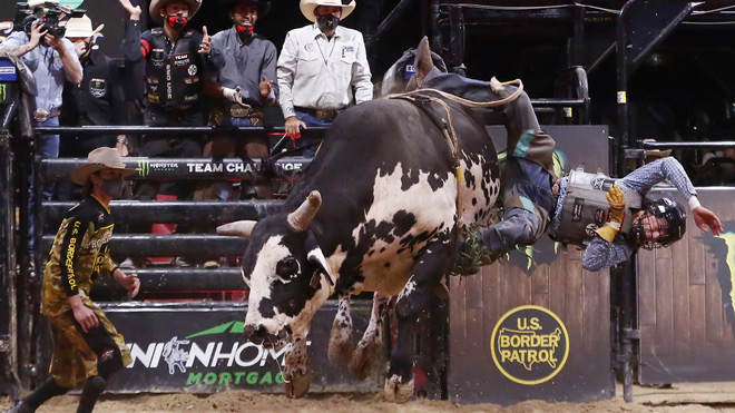 Đấu sĩ cưỡi bò 22 tuổi qua đời sau cú giẫm đạp đáng sợ