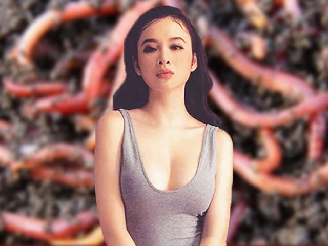 Đời sống Showbiz - Angela Phương Trinh chia sẻ tin "giun đất chữa khỏi bệnh": Cơ quan chức năng vào cuộc