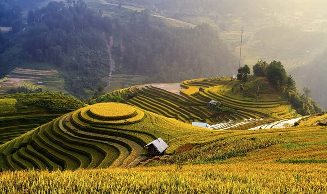 Indonesia: Quốc gia Đông Nam Á này được thiên nhiên ban tặng rừng nhiệt đới, núi lửa, những hòn đảo ngoạn mục và nhiều di sản phong phú. Indonesia sẽ khiến du khách cảm thấy ấm áp bởi sự thân thiện của những người dân. 
