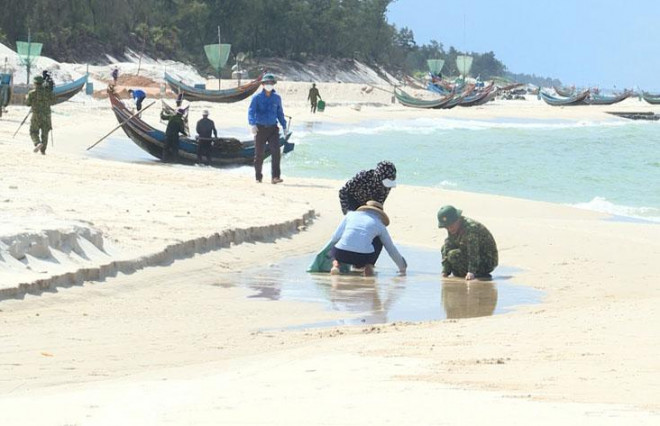 Các lực lượng đang thu gom dầu loang trên bờ biển các xã Ngư Thủy và Ngư Thủy Bắc, huyện Lệ Thủy