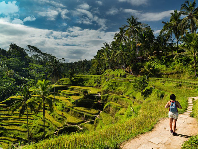 Tegalalang Rice Terrace ở Indonesia mang đến cảnh quan xanh tươi đầy sức sống với những ruộng lúa bậc thang mà nông dân ở đây sử dụng một hệ thống tưới tiêu đã được truyền qua nhiều thế kỷ. 
