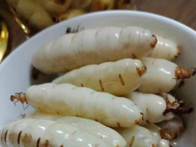 Thị trường - Tiêu dùng - Nhìn phát sợ nhưng đây là những đặc sản nổi tiếng giá đắt, nhiều người ngỡ ngàng