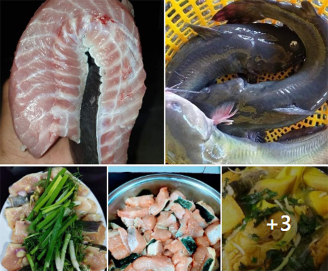 Loại cá đặc sản từng tiến Vua ở Việt Nam đang được bán với giá siêu rẻ, chỉ 85.000 đồng/kg - 4