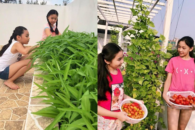 Các con của MC Quyền Linh cũng thường xuyên thu hoạch các loại rau củ từ khu vườn nhỏ.
