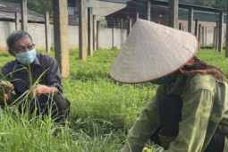 Pháp luật - Hành trình trở về nẻo thiện của một tử tù