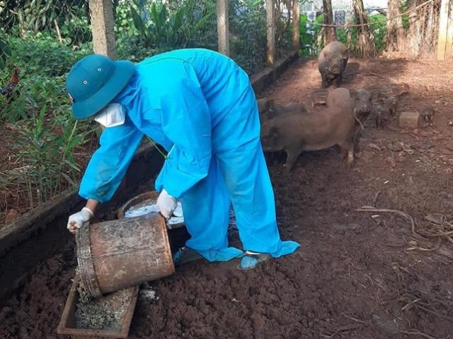 Bạn trẻ - Cuộc sống - Chăm con, xay lúa, nuôi heo giúp hộ dân đang cách ly