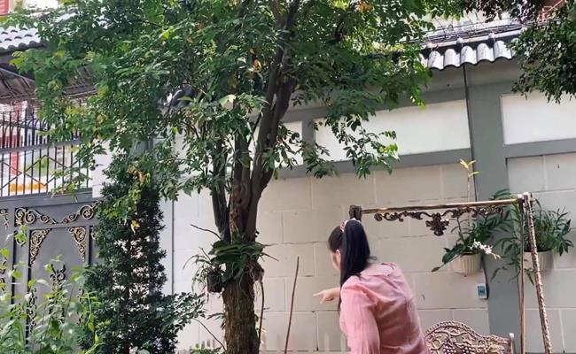 Nhà vườn của vợ chồng nghệ sĩ Hồng Vân - Lê Tuấn Anh nằm ở Long Hải (Bà Rịa - Vũng Tàu).&nbsp;