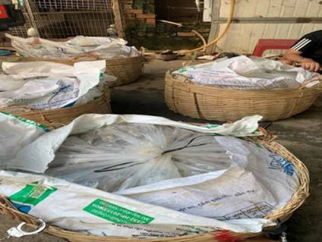 Pháp luật - Phát hiện bí mật "động trời" trong 4 giỏ cá rô, cá lóc