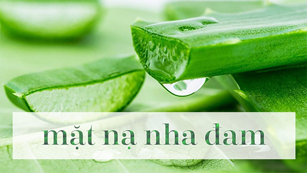 20 cách làm mặt nạ nha đam giúp trị mụn trắng da hiệu quả an toàn nhất - 1
