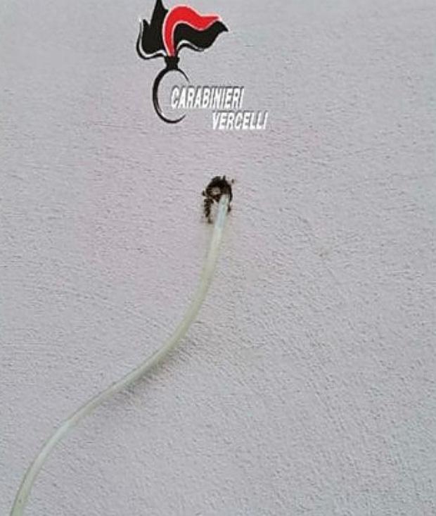 Người đàn ông vô tình phát hiện một chiếc lỗ kỳ lạ trên tường nhà.