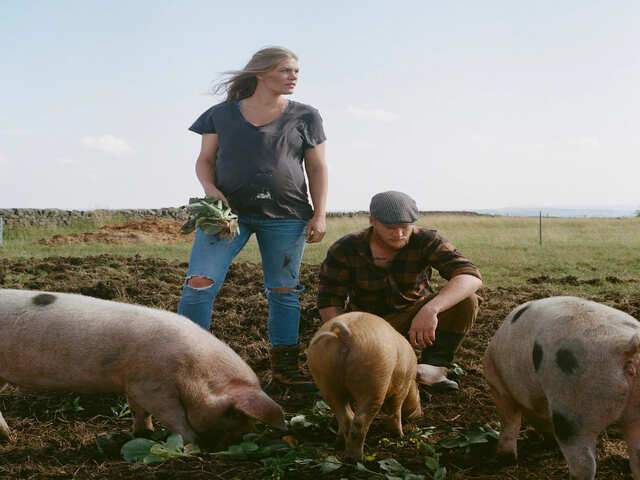 Kinh doanh - Bỏ phố về làm nông dân và câu chuyện vỡ mộng của cặp vợ chồng trẻ