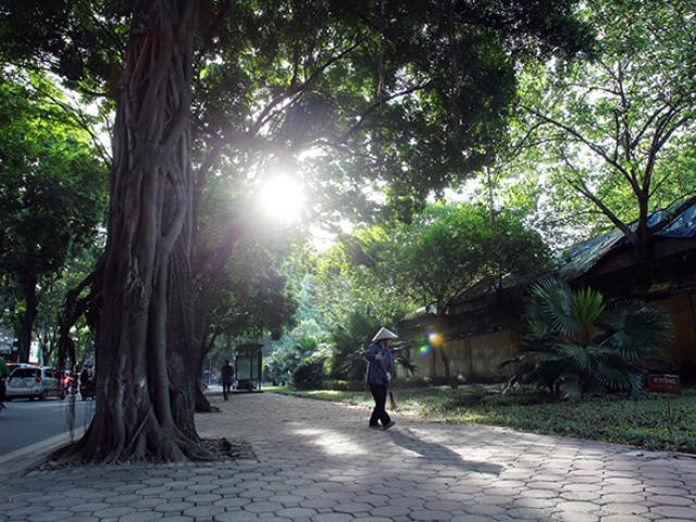 Tin tức trong ngày - Miền Bắc trời nắng, miền Nam có mưa dông do ảnh hưởng bão số 5