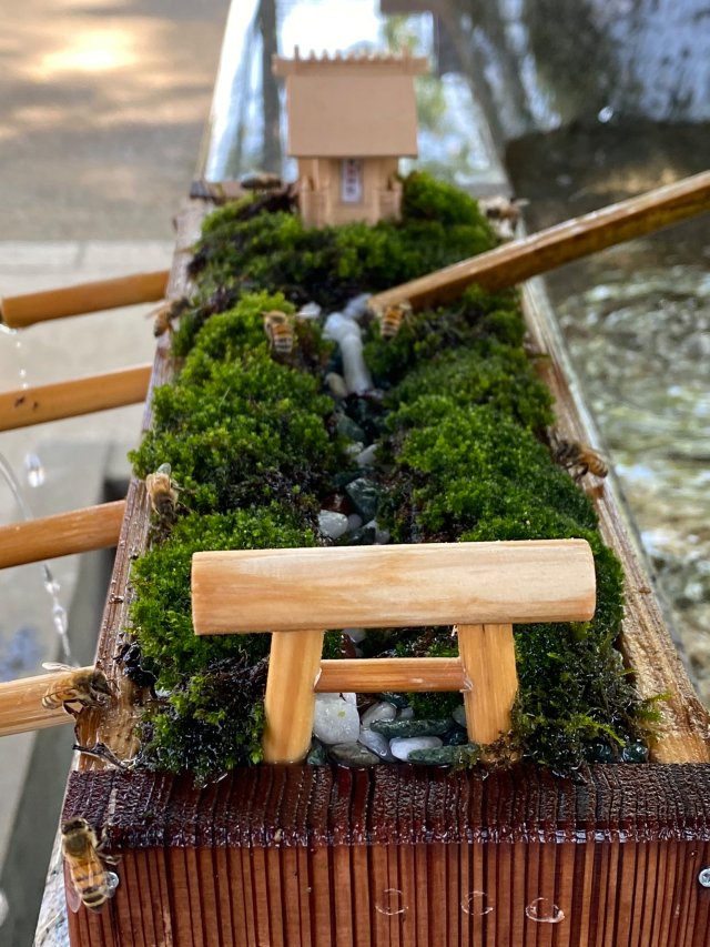 Đền thờ kỳ lạ ở Nhật Bản xây chỗ uống nước dành riêng cho những chú ong - 4