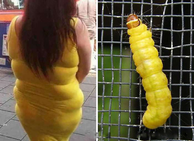 Hóa ra tôi cũng có họ hàng nè.
