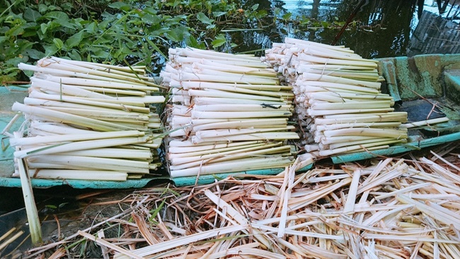 Giá bồn bồn làm thành dưa có thể lên đến 50.000 đồng/kg vì bao gồm tiền công làm sạch, muối.
