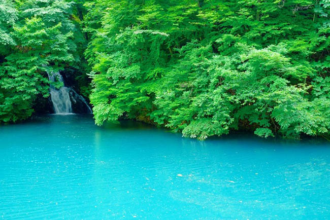 2. Shiman Onsen (tỉnh Gunma)

Đây cũng là thị trấn suối nước nóng, nước ở đây có màu xanh coban tuyệt đẹp nên thu hút rất nhiều người ghé đến chiêm ngưỡng và ngâm mình.
