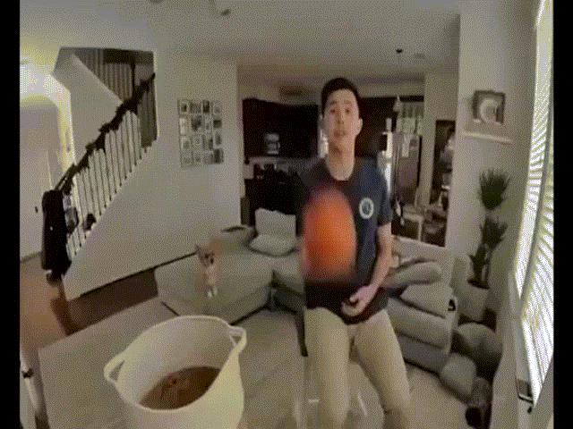 Bạn trẻ - Cuộc sống - Clip: Chú chó corgi nổi tiếng nhờ tài năng chơi bóng cực đỉnh