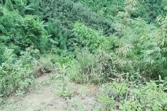 Khu vực nơi xảy ra vụ việc. Ảnh:TL