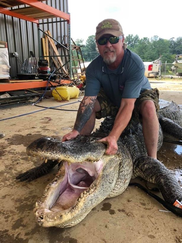 Shane Smith không tin vào mắt mình khi phát hiện thứ trong bụng cá sấu.