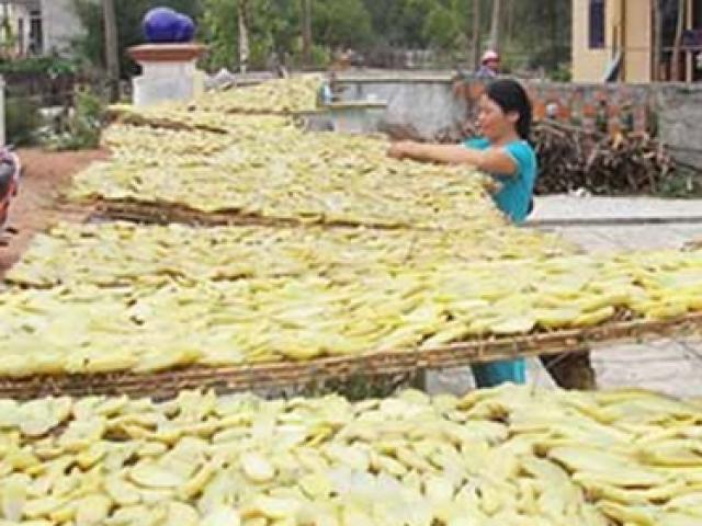 Thị trường - Tiêu dùng - Thứ trước chỉ nhà nghèo mới ăn, nay ở Việt Nam có người đem bán kiếm tiền triệu