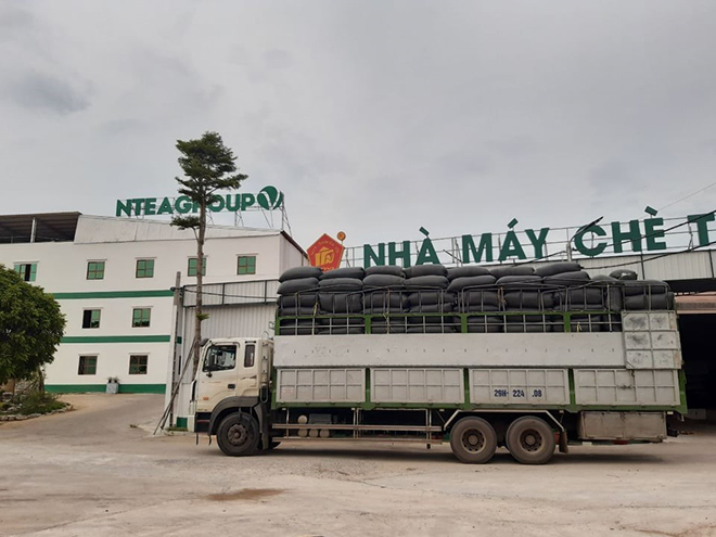 Vận chuyển chè xanh về xí nghiệp