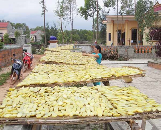 Để làm được khoai deo cần phải phơi nắng củ khoai sau khi thu hoạch khoảng 2 ngày, sau đó đưa vào nhà ủ kín, đem luộc 2-3 tiếng cho khoai mềm ra rồi thái lát mỏng.
