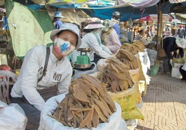 Sở dĩ khoai deo Quảng Bình ngon và có tiếng hơn nhiều vùng khác có thể do được làm từ loại khoai trồng trên vùng cát trắng.
