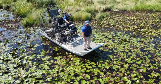 Cơ quan chức năng bang Louisiana đã tìm thấy con cá sấu nghi tấn công người trong bão Ida. Ảnh: Twitter
