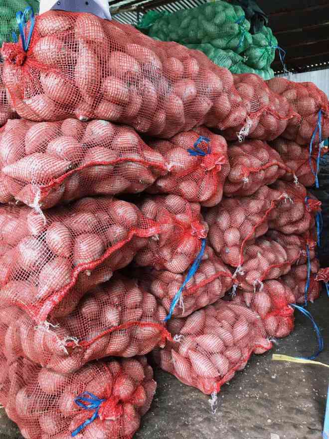 Các cửa hàng đóng cửa vì giãn cách, khoai lang tím hư hỏng nhiều.