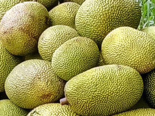 Thị trường - Tiêu dùng - Giá mít tăng cao giữa dịch